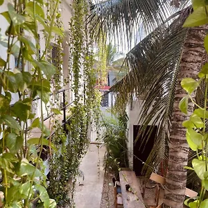 Anana Coliving Mini-hôtel